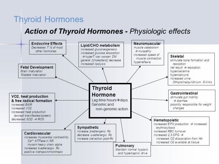 Thyroid+Hormones+Action+of+Thyroid+Hormones+-+Physiologic+effects